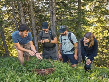 Herb Hike