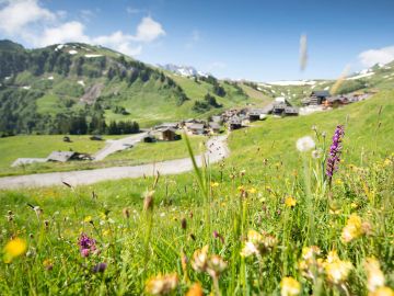 Les Crosets in the summer